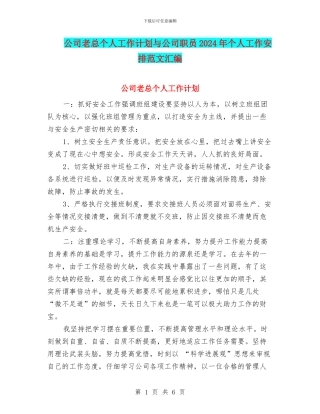 公司老总个人工作计划与公司职员2024年个人工作安排范文汇编