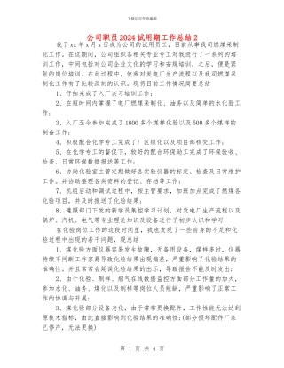 公司职员2024试用期工作总结2