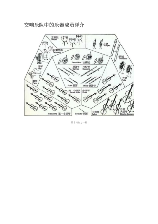 交响乐队中的乐器成员详介