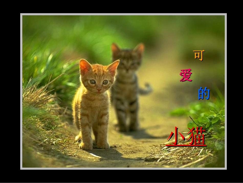 《脚印的联想》课件2_第2页