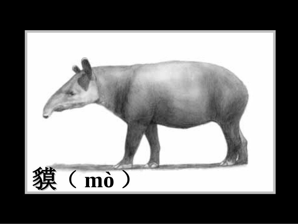 《脚印的联想》课件2_第3页