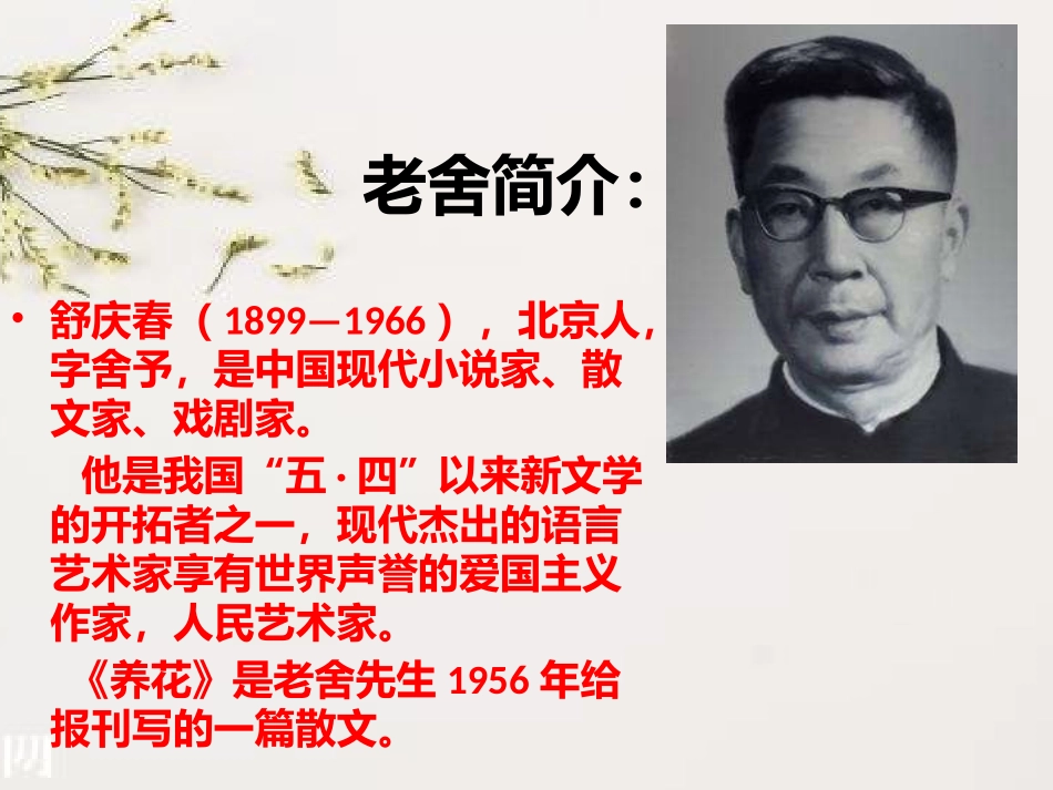 第十册养花-(1)_第3页