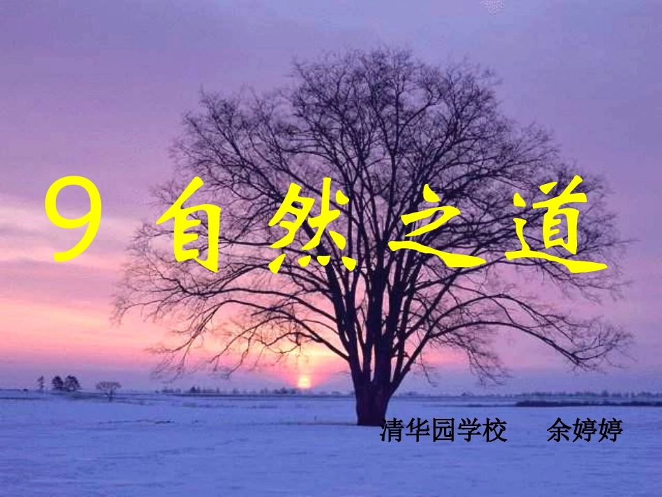 9自然之道第一课时_第2页