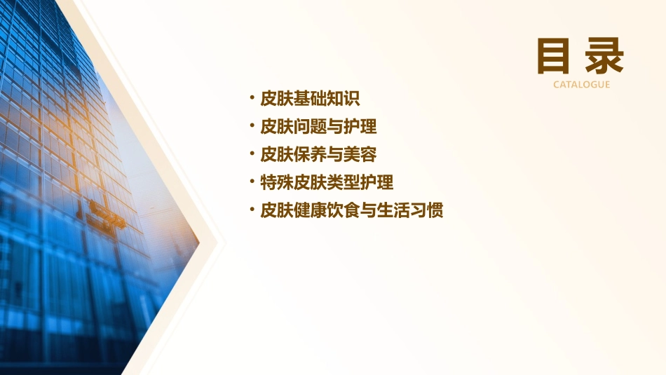 皮肤基础知识小讲课护理课件_第2页