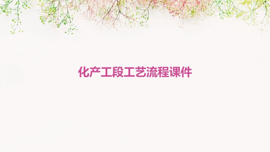 化产工段工艺流程课件_第1页