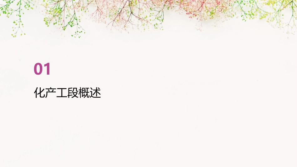 化产工段工艺流程课件_第3页