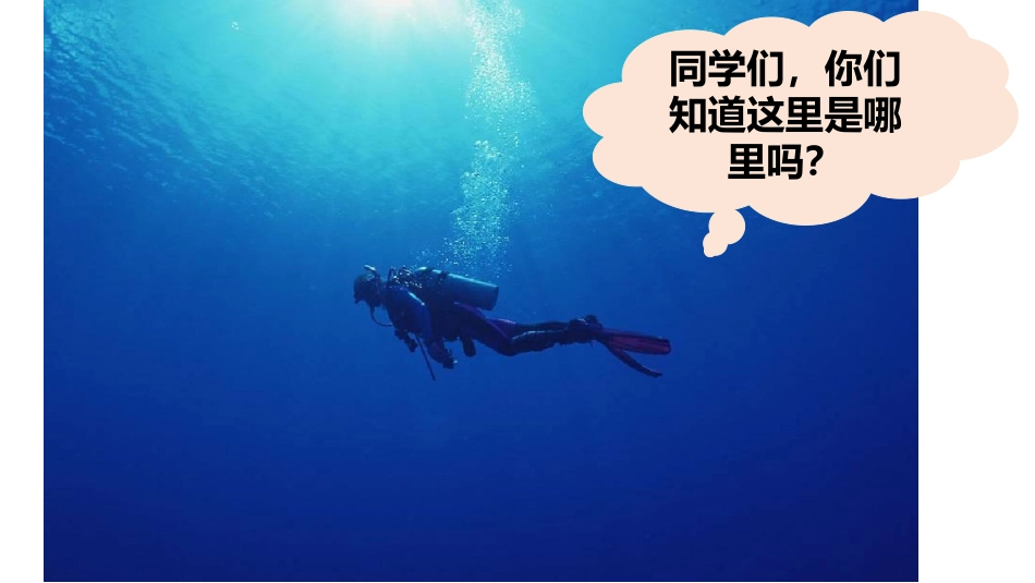 2.海底世界多奇妙_第1页