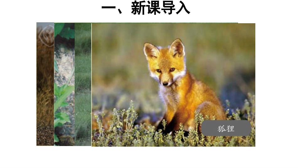 小学数学人教2011课标版三年级第一课时课件_第2页