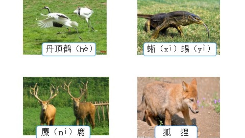 小学数学人教2011课标版三年级第一课时课件_第3页