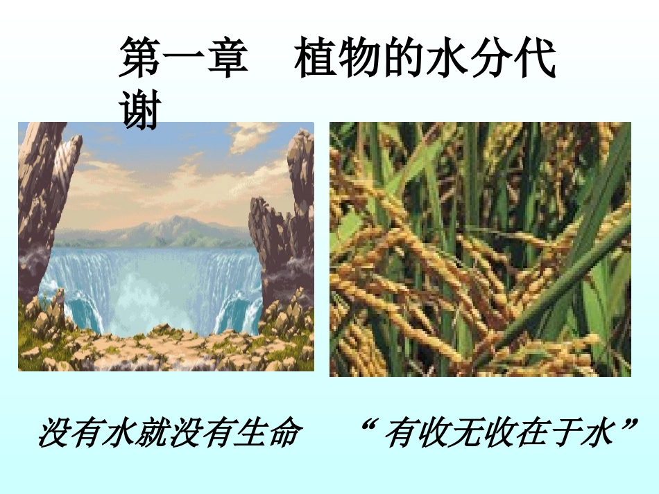 第二章-植物的水分生理_第1页