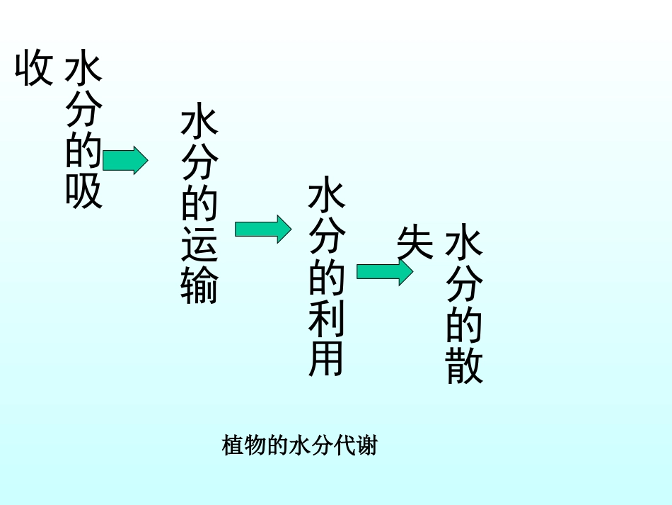 第二章-植物的水分生理_第3页