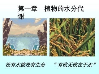 第二章-植物的水分生理