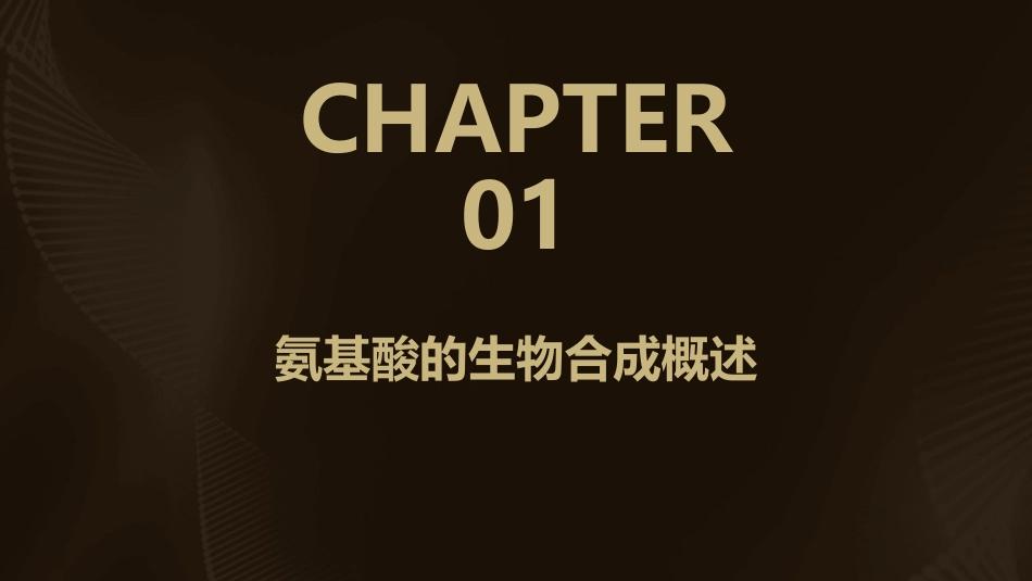 氨基酸的生物合成课件_第3页