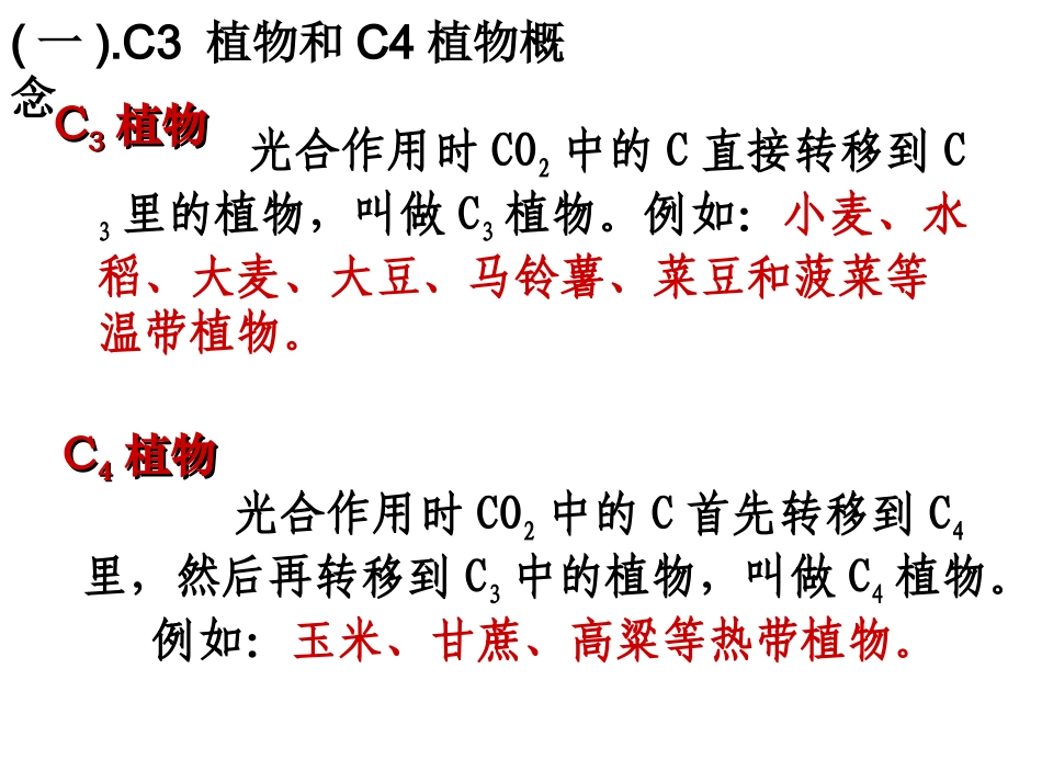 C3植物和C4植物_第3页