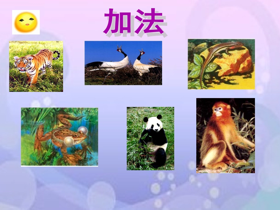 《万以内数的加法和减法》课件3_第3页