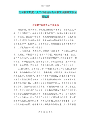 公司职工年度个人工作总结与公司职工试用期工作总结汇编