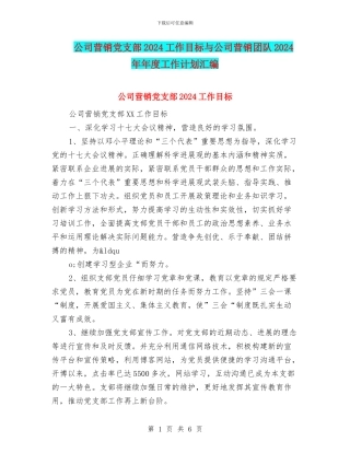 公司营销党支部2024工作目标与公司营销团队2024年年度工作计划汇编