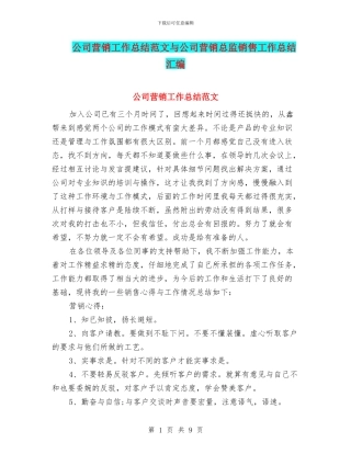 公司营销工作总结范文与公司营销总监销售工作总结汇编