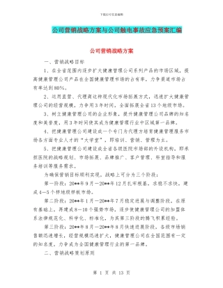 公司营销战略方案与公司触电事故应急预案汇编