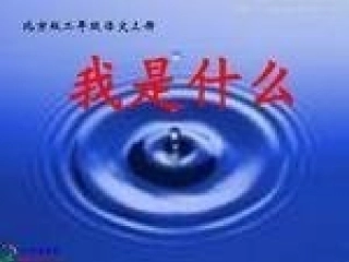 二年级《我是什么》课件1