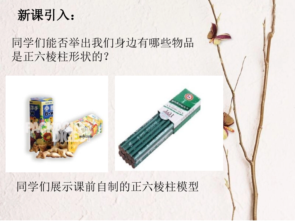 基本几何体六棱柱_第2页