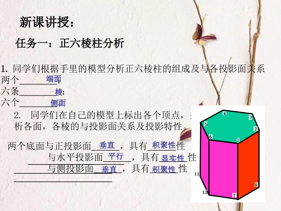 基本几何体六棱柱_第3页