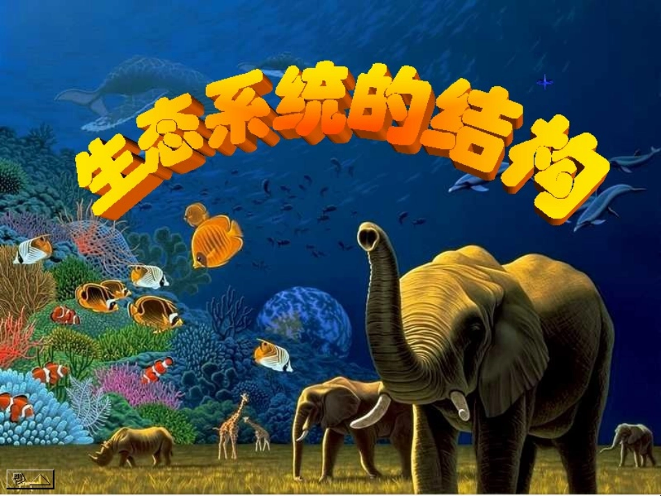 生态系统的结构_第2页