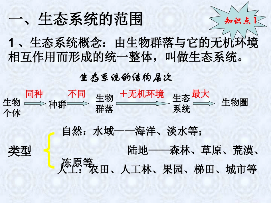 生态系统的结构_第3页