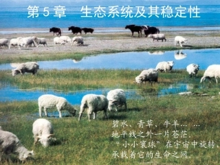 生态系统的结构