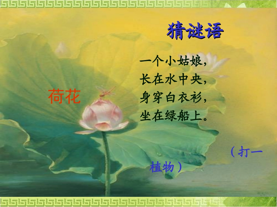 人教版三年级下册《荷花》第二课时_第1页