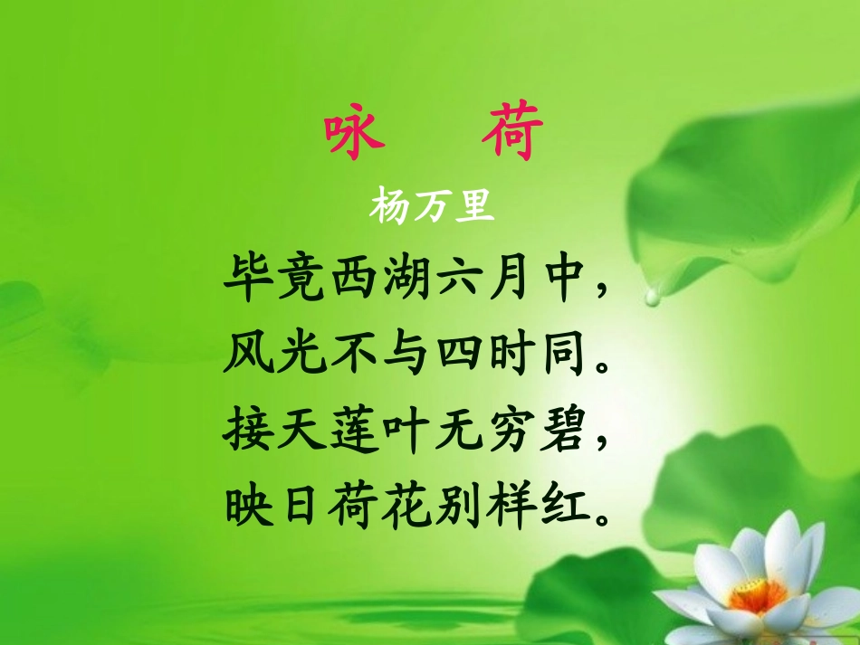 人教版三年级下册《荷花》第二课时_第3页