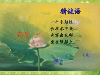 人教版三年级下册《荷花》第二课时