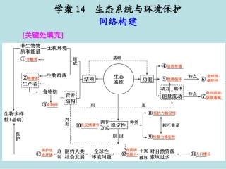 第一部分专题六学案14