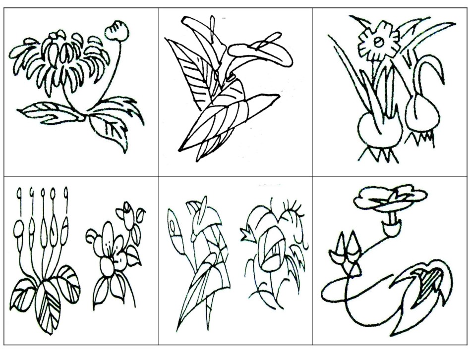 【素材】《我们是朋友》植物(首师大版)-2_第2页