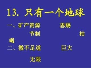 13.《只有一个地球》同步练习册