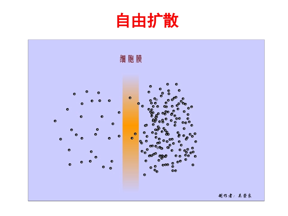 生物学①必修4.3《物质跨膜运输的方式》PPT课件_第3页