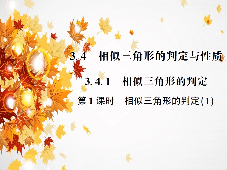 第1课时相似三角形的判定(1)_第1页