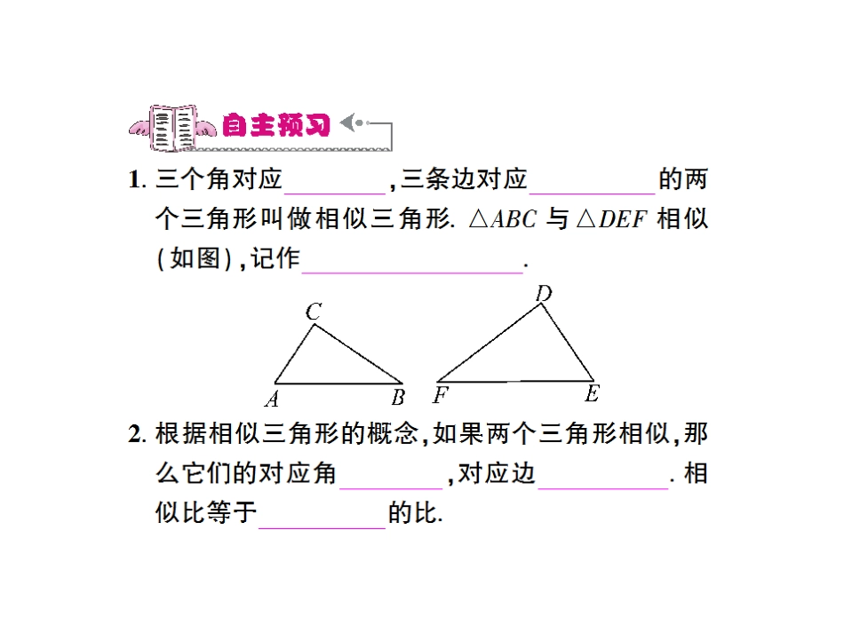 第1课时相似三角形的判定(1)_第2页