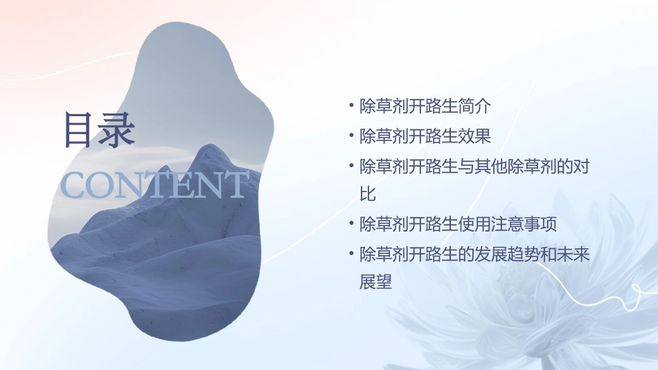 除草剂开路生课件_第2页