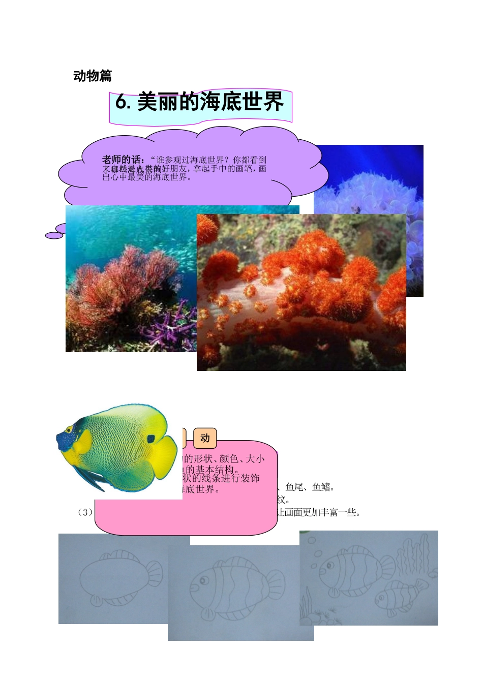 6美丽的海底世界_第1页