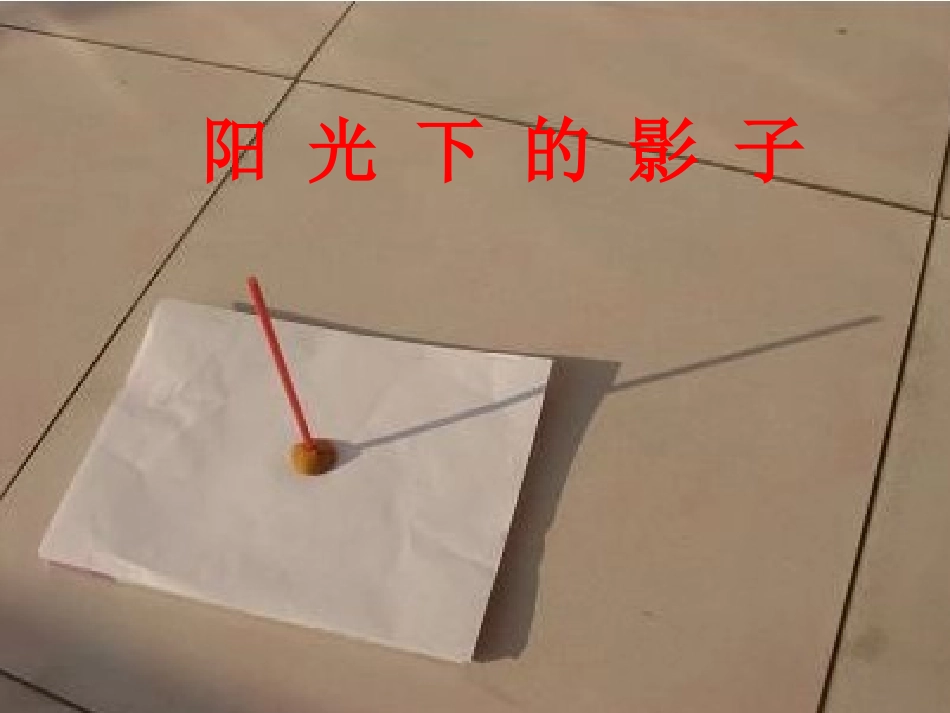 五年级科学上册第二单元阳光下的影子_第1页
