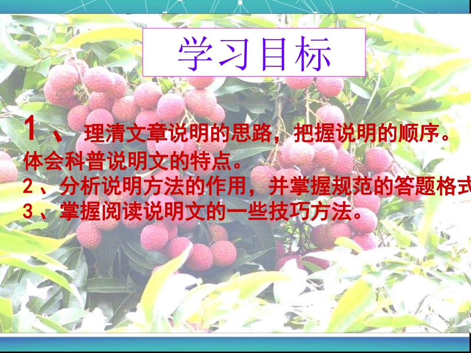 南州六月荔枝丹独家_第3页