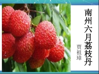 南州六月荔枝丹独家