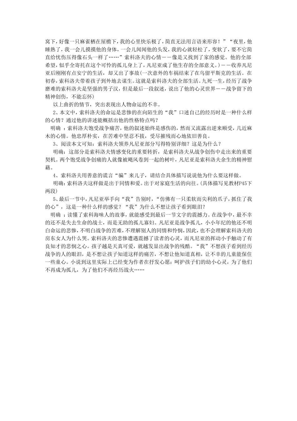 《一个人的遭遇》教学设计3_第2页