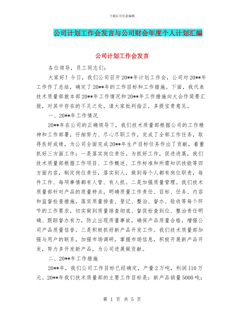 公司计划工作会发言与公司财会年度个人计划汇编_第1页