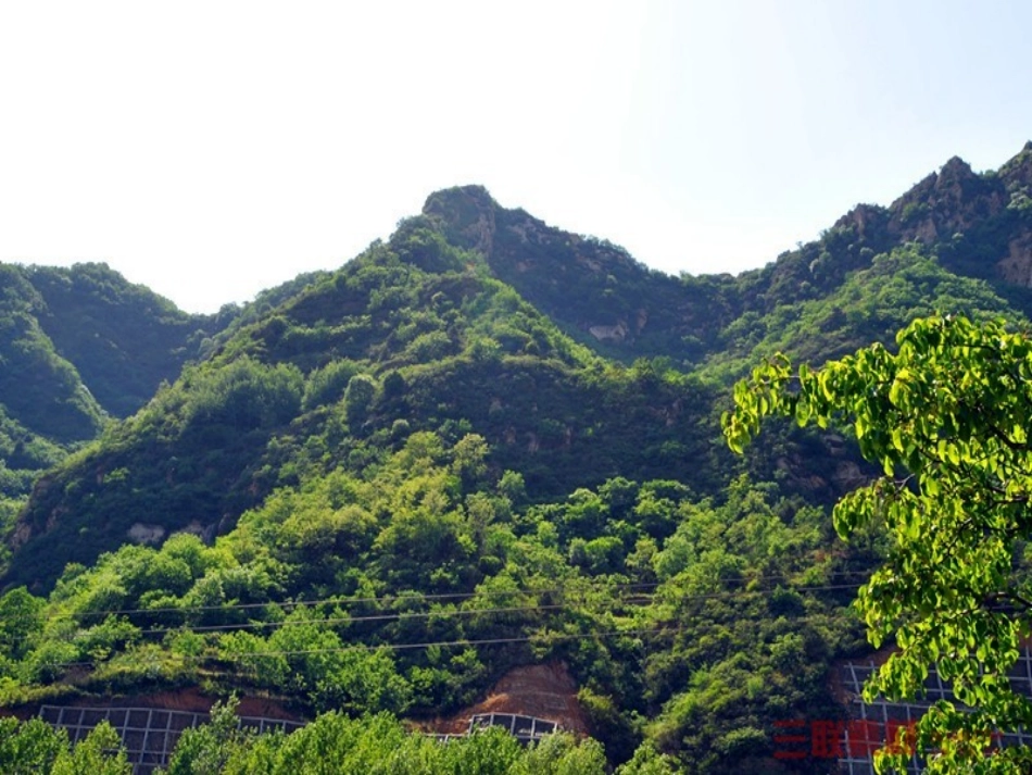 人教版小学语文一年级下册《24、画家乡》_第2页