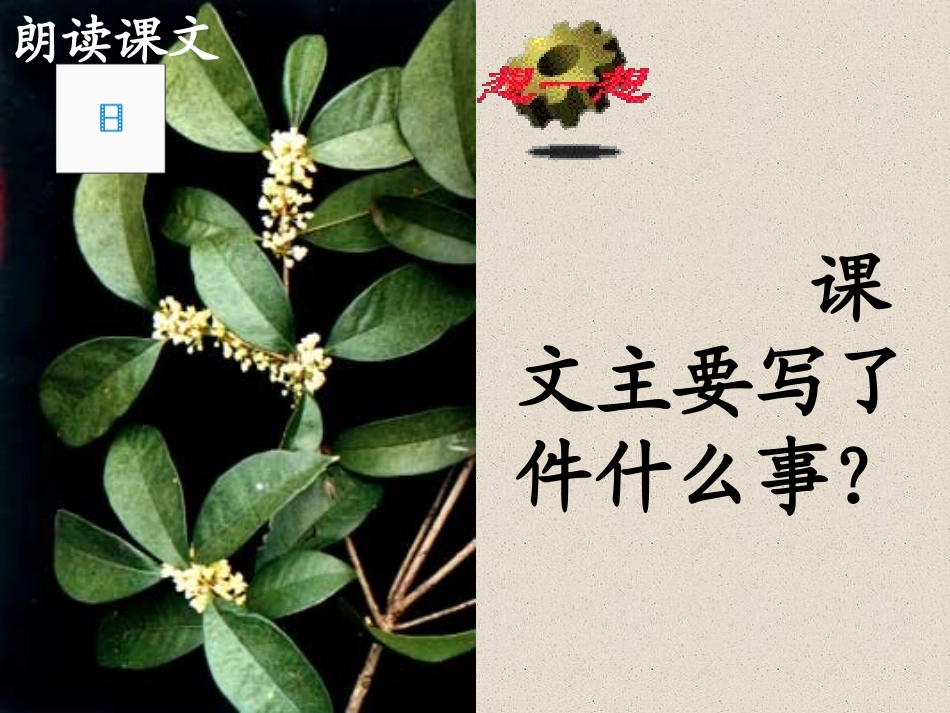 13738桂花雨_第3页