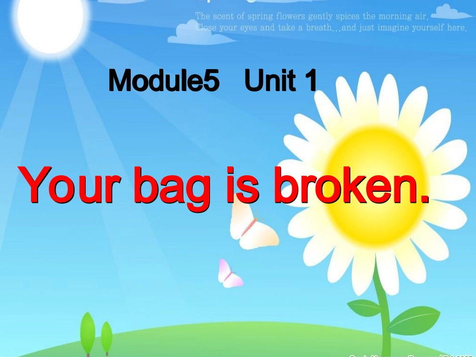 Unit1Yourbagisbroken._第1页