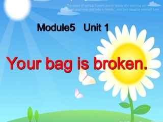 Unit1Yourbagisbroken.