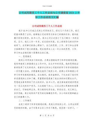 公司试用期员工个人工作总结与公司调度室2024上半年工作总结范文汇编